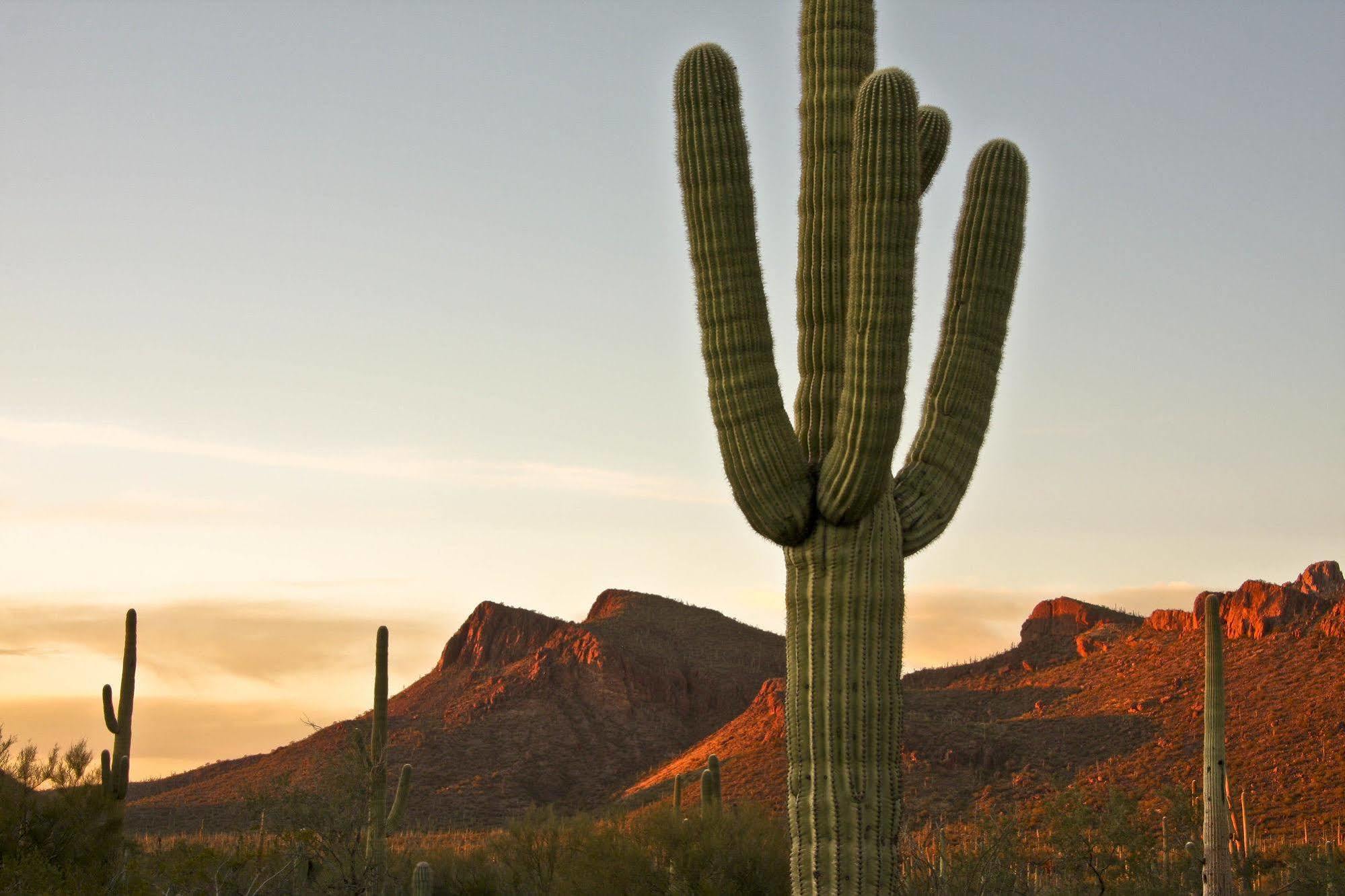 Tucson Marriott University Park Dış mekan fotoğraf